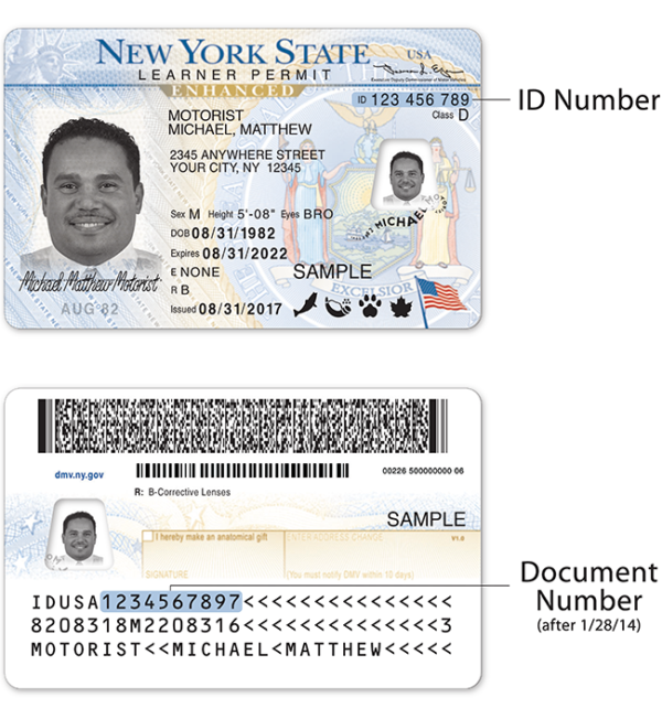 Buy fake Drivers license online USA